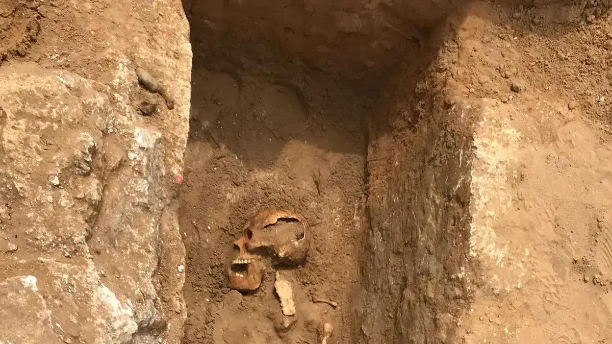 עצמות אדם שנמצאו בעבודות בנייה ברחוב אליזבת ברגנר בתל אביב עצמות אדם שנמצאו בעבודות בנייה ברחוב אליזבת ברגנר בתל אביב