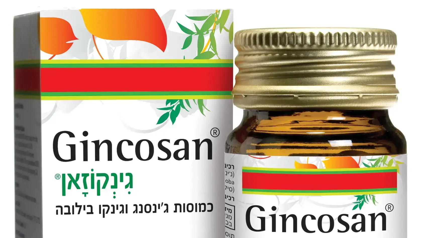גינקוזאן גינקוזאן