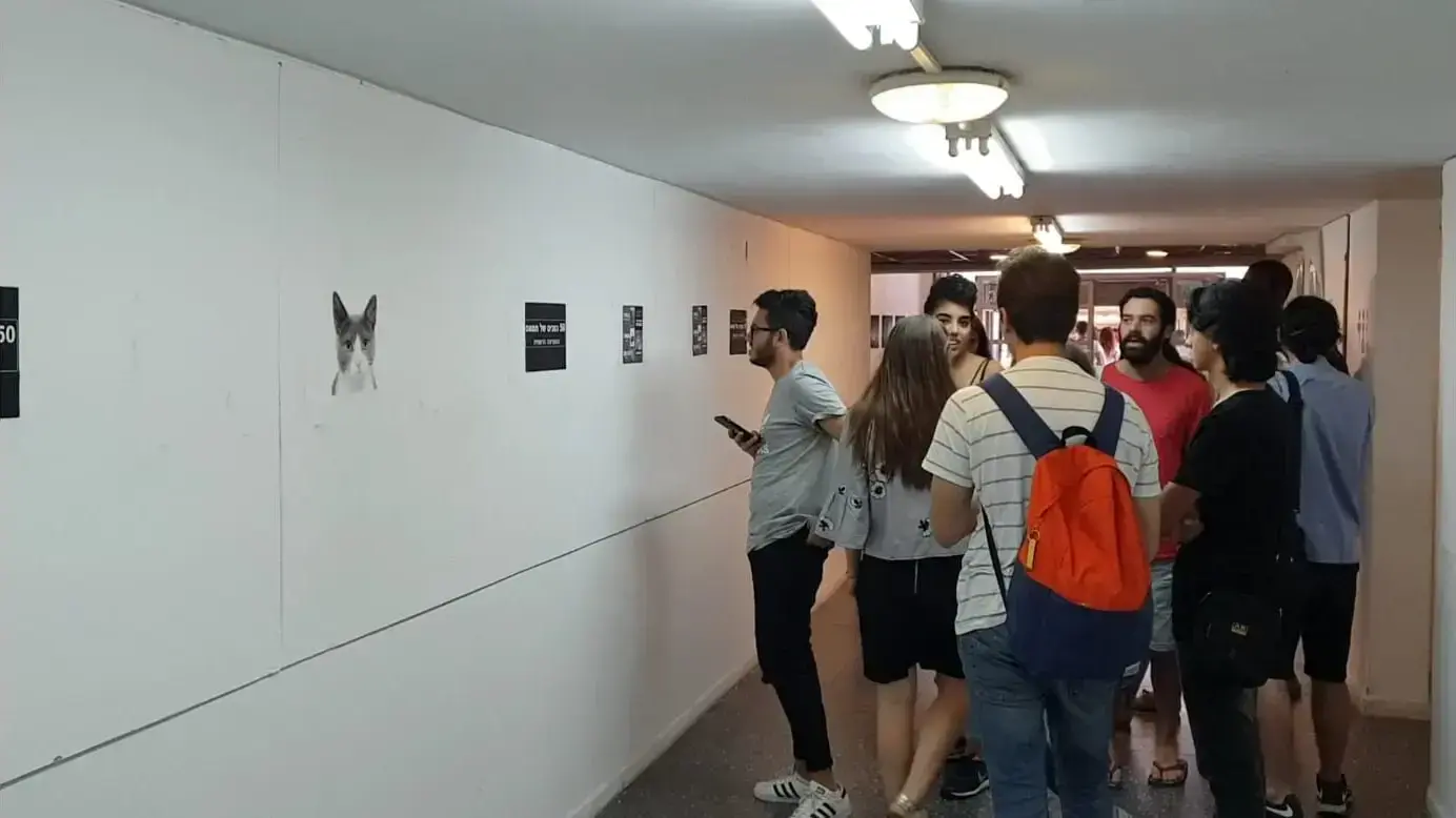 פעילי ארגון "אם תרצו" תולים שלטים באקדמיה לאמנות בצלאל "תחת הכותרת "50 גוונים של חמאס התערוכה הרשמית" פעילי ארגון "אם תרצו" תולים שלטים באקדמיה לאמנות בצלאל "תחת הכותרת "50 גוונים של חמאס התערוכה הרשמית"
