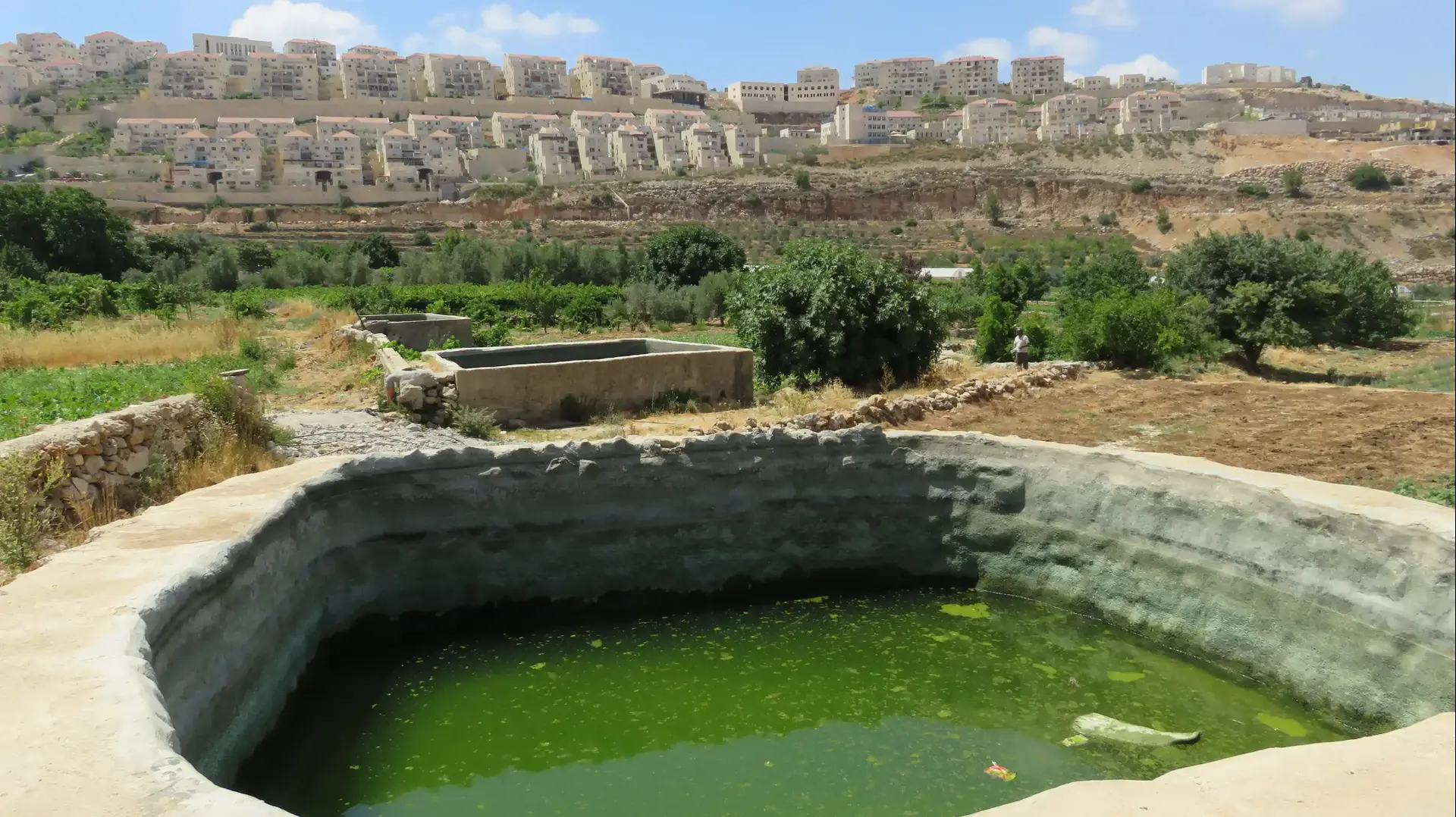 מעיין עין תינה מעיין עין תינה