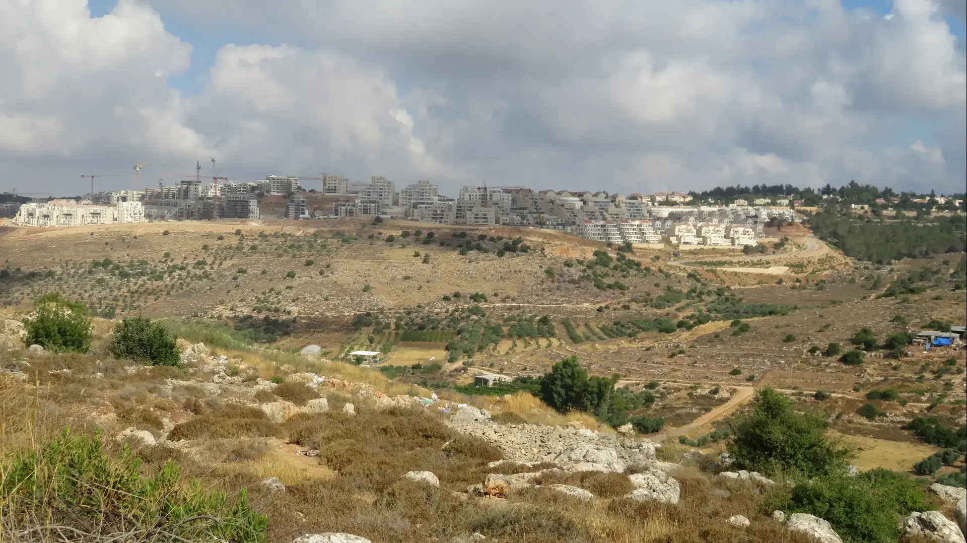 שדות ואדי פוקין מתחת לצור הדסה שדות ואדי פוקין מתחת לצור הדסה