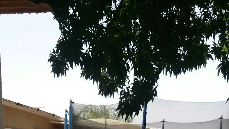 הבריכה שבה טבעה למוות פעוטה בבית פרטי בחבל לכיש, מאי 2018 הבריכה שבה טבעה למוות פעוטה בבית פרטי בחבל לכיש, מאי 2018