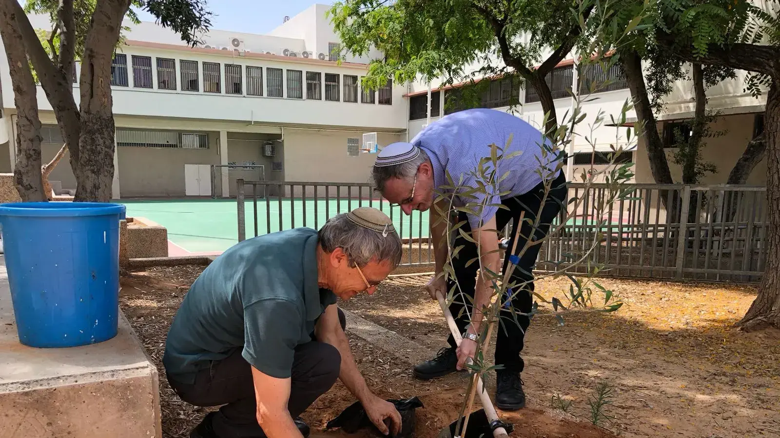 תג מאיר הגיעו לשתול עץ זית בישיבה התיכונית בר אילן תג מאיר הגיעו לשתול עץ זית בישיבה התיכונית בר אילן