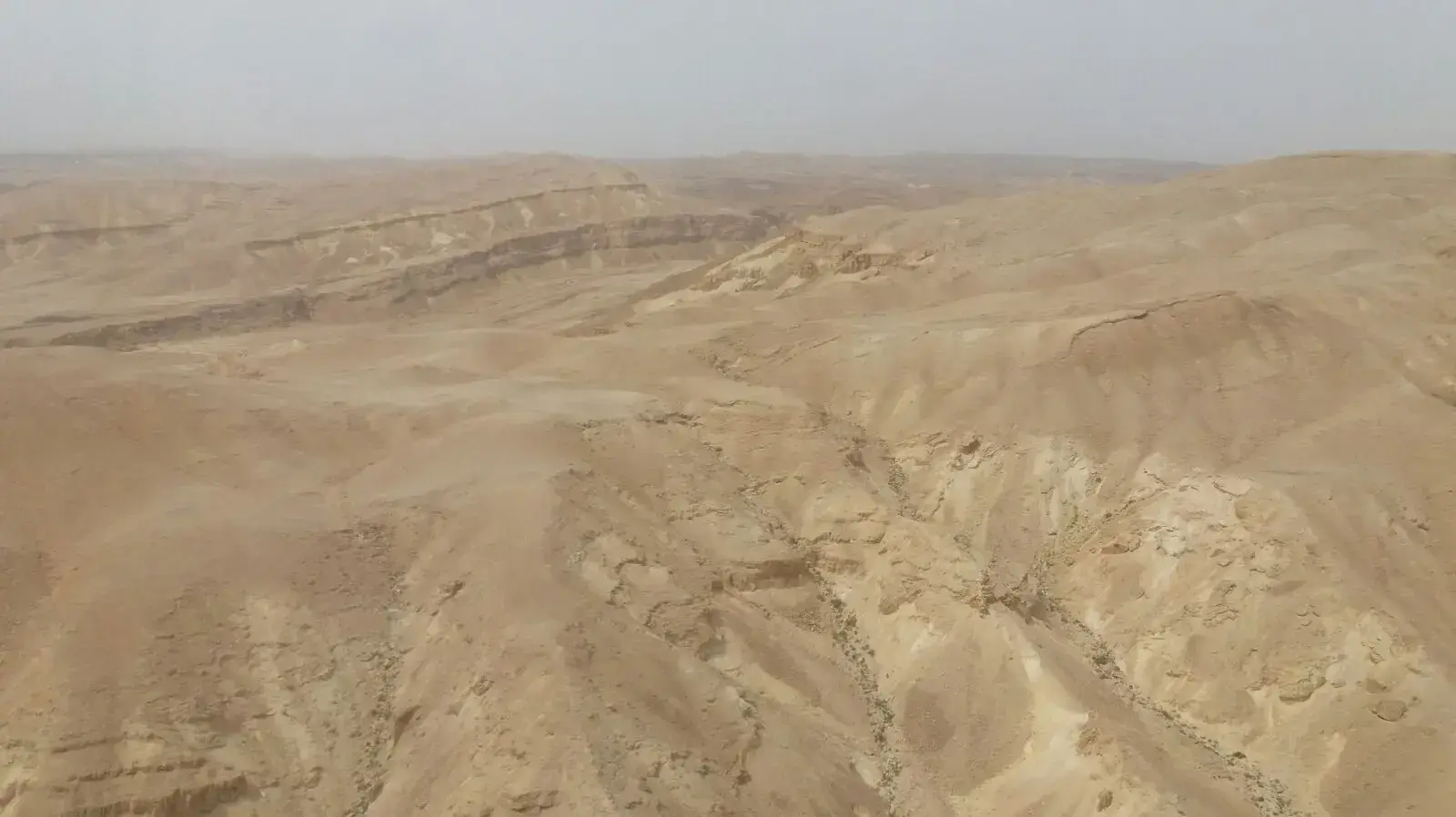 מקום הימצאותם של בני זוג מתל אביב בשנות ה-30 לחייהם, שתעו בדרכם ביום ראשון באזור פרסת נקרות בנגב
מקום הימצאותם של בני זוג מתל אביב בשנות ה-30 לחייהם, שתעו בדרכם ביום ראשון באזור פרסת נקרות בנגב