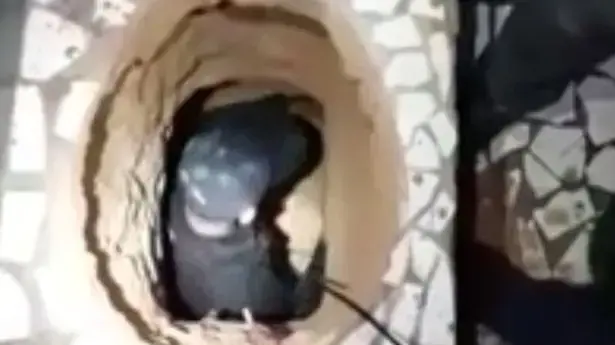 מנהרה שנחפרה מתחת לשירותים כדי לברוח מהכלא