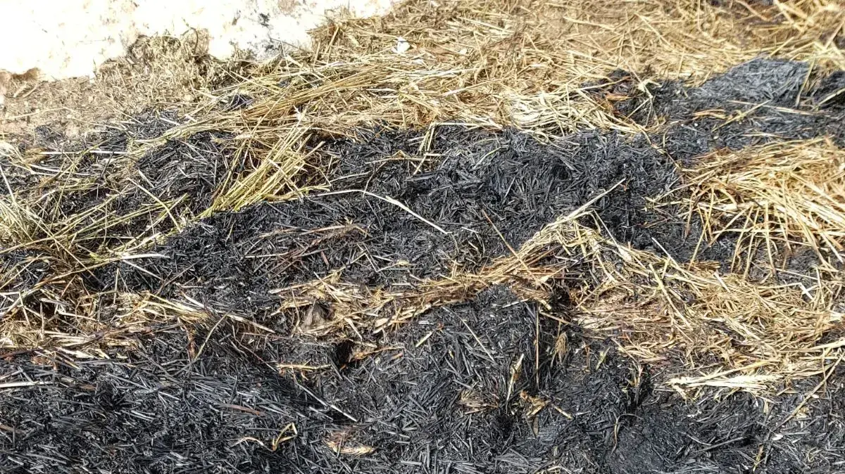 ערימות חציר שהוצתו בכפר א-דיראת שבדרום הר חברון, 23 במאי 2018 ערימות חציר שהוצתו בכפר א-דיראת שבדרום הר חברון, 23 במאי 2018