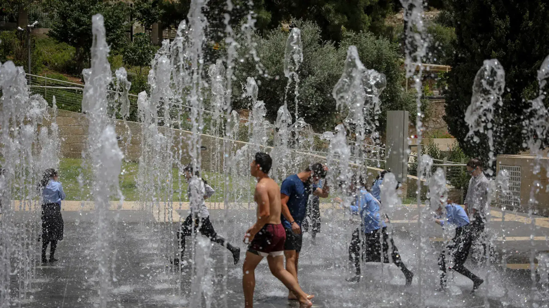 חמסין, פארק טדי, ירושלים, 23 במאי 2018 חמסין, פארק טדי, ירושלים, 23 במאי 2018
