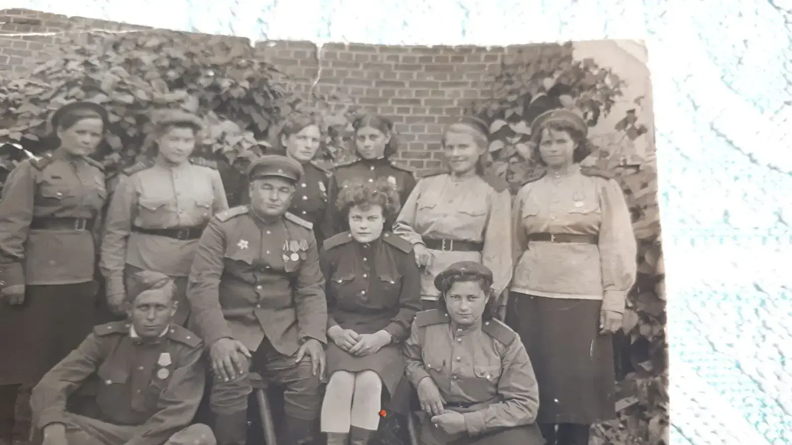 דורה נוימן שלחמה בצבא האדום דורה נוימן שלחמה בצבא האדום