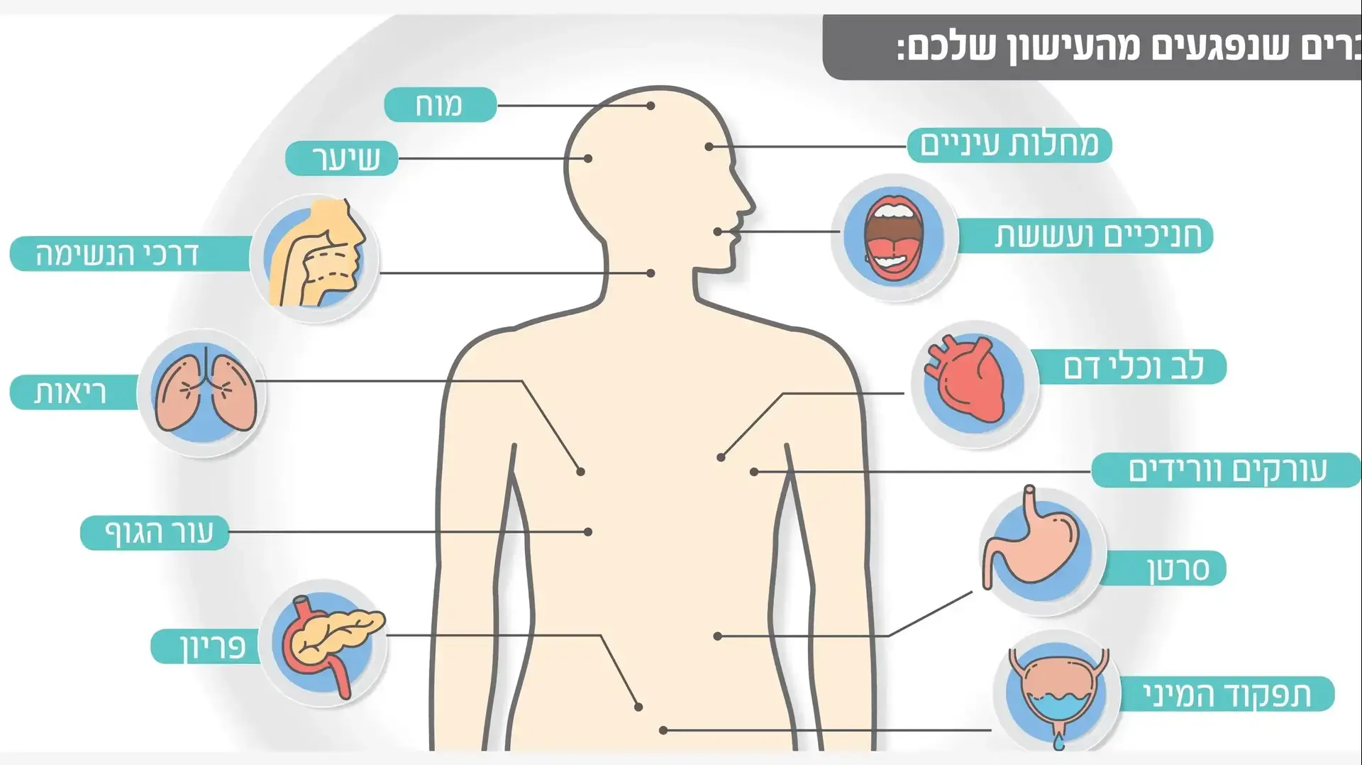 נזקי העישון על כל האיברים בגוף נזקי העישון על כל האיברים בגוף