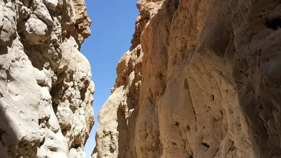 נחל צפית נחל צפית