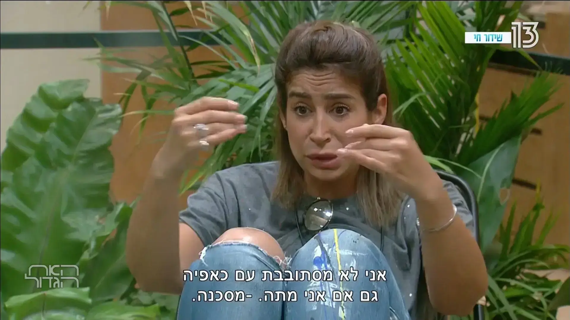 האח הגדול רשת האח הגדול רשת