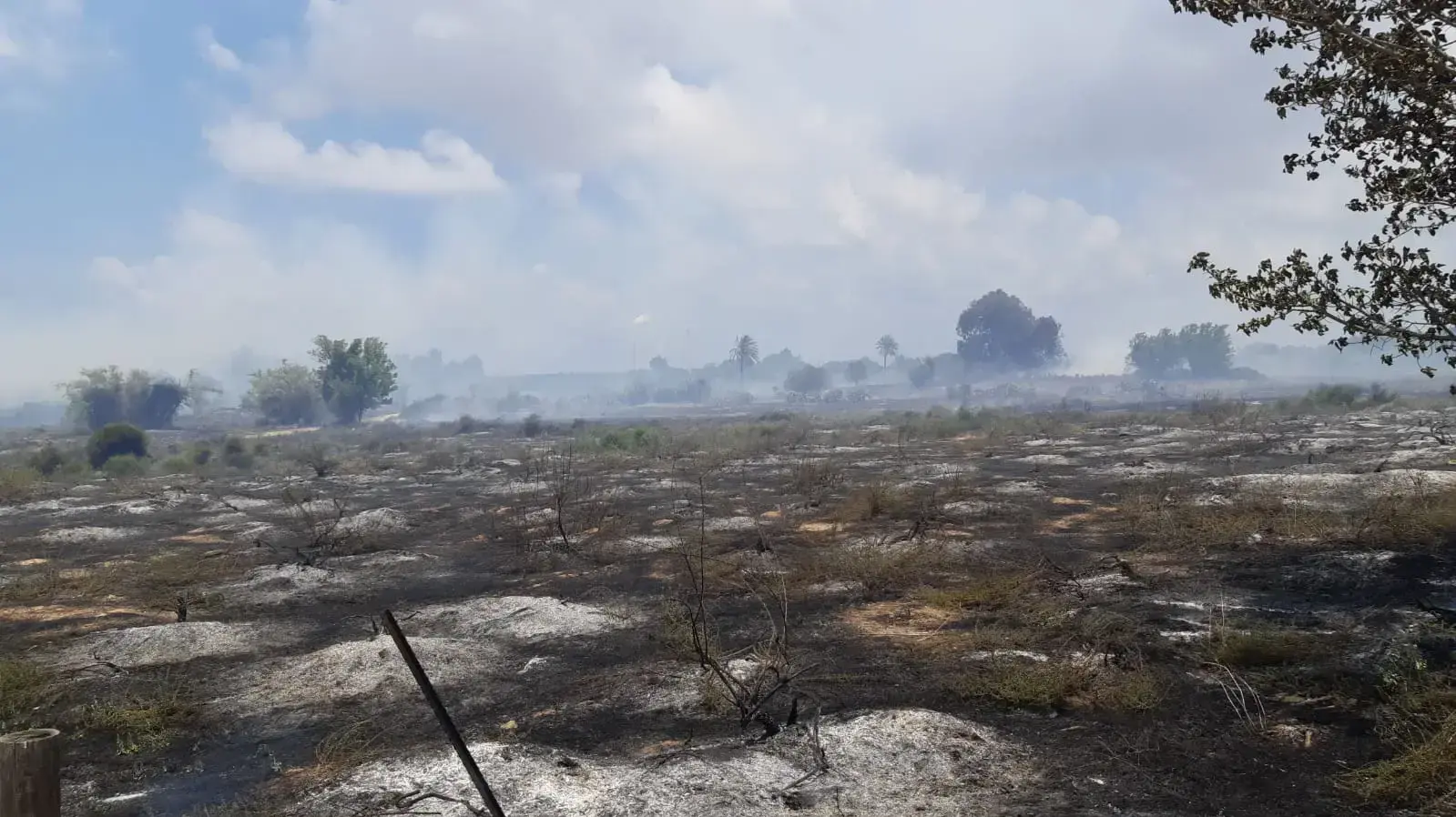 שריפה פרצה במושב כרמיה בדרום בשל עפיפוני תבערה שריפה פרצה במושב כרמיה בדרום בשל עפיפוני תבערה