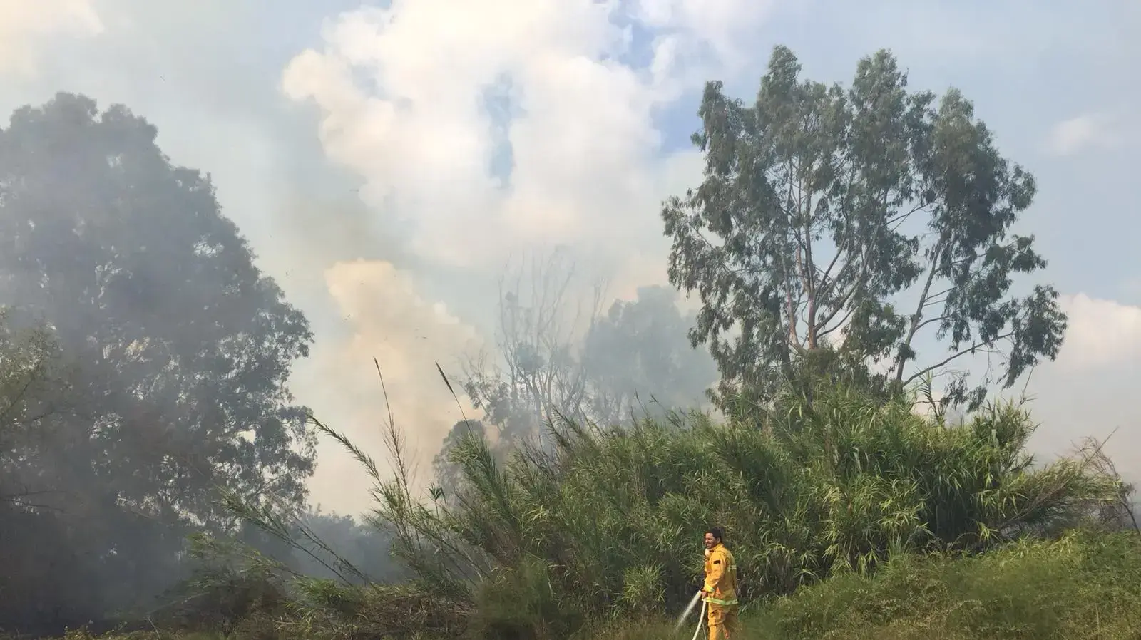 שריפה פרצה במושב כרמיה בדרום בשל עפיפוני תבערה שריפה פרצה במושב כרמיה בדרום בשל עפיפוני תבערה