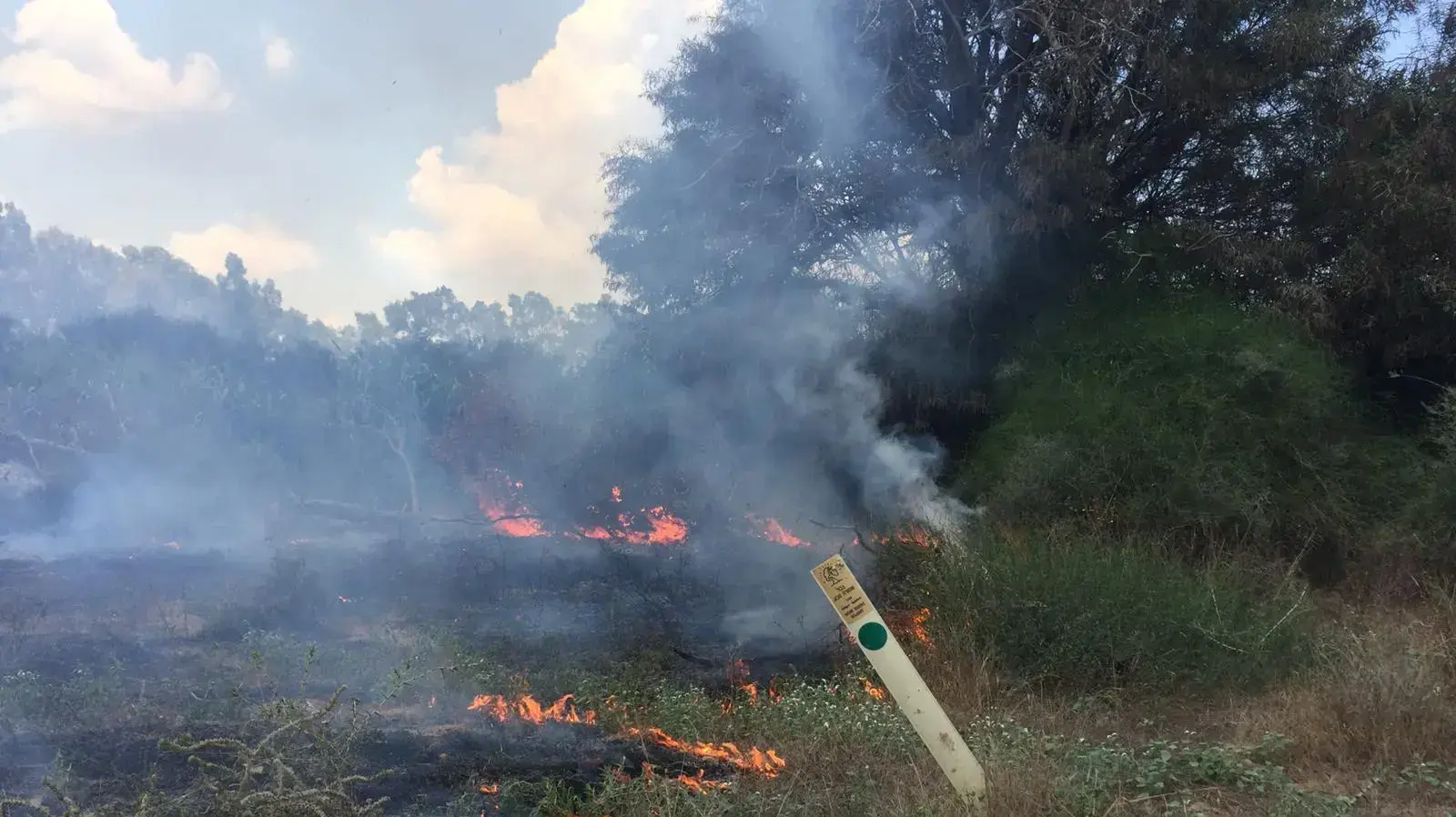 שריפה בשמורת כרמיה בעבקות טרור העפיפונים מעזה 2 ביוני 2018 שריפה בשמורת כרמיה בעבקות טרור העפיפונים מעזה 2 ביוני 2018
