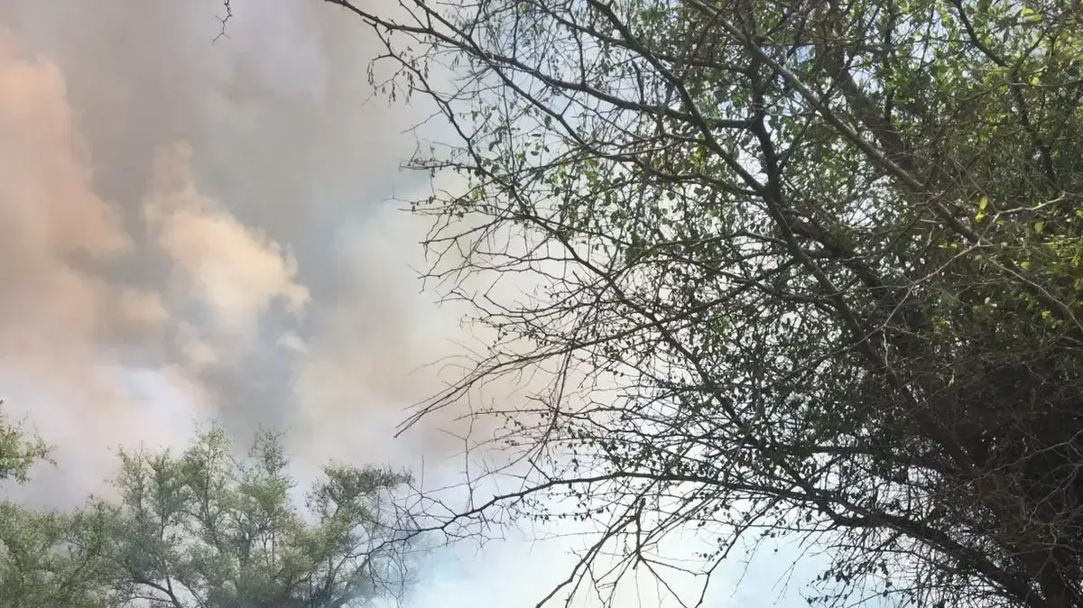שריפה בשמורת כרמיה בעבקות טרור העפיפונים מעזה 2 ביוני 2018 שריפה בשמורת כרמיה בעבקות טרור העפיפונים מעזה 2 ביוני 2018