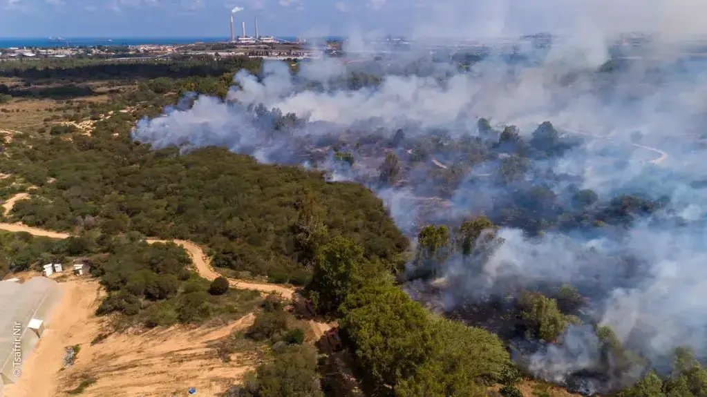 שריפה בשמורת כרמיה בעבקות טרור העפיפונים מעזה 2 ביוני 2018 שריפה בשמורת כרמיה בעבקות טרור העפיפונים מעזה 2 ביוני 2018