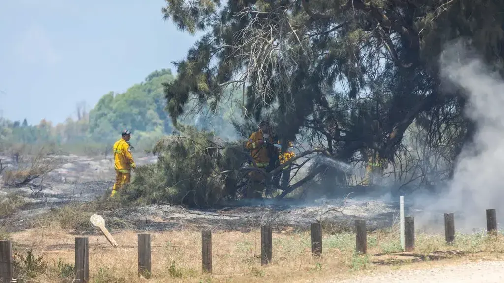 שריפה בשמורת כרמיה בעבקות טרור העפיפונים מעזה 2 ביוני 2018 שריפה בשמורת כרמיה בעבקות טרור העפיפונים מעזה 2 ביוני 2018