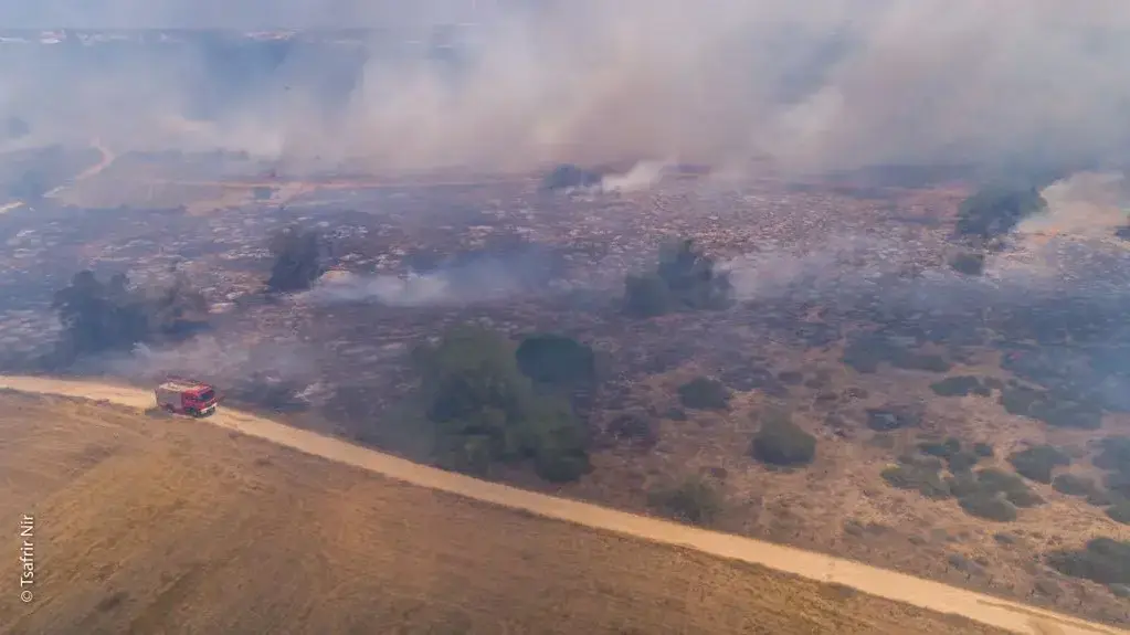 שריפה בשמורת כרמיה בעבקות טרור העפיפונים מעזה 2 ביוני 2018 שריפה בשמורת כרמיה בעבקות טרור העפיפונים מעזה 2 ביוני 2018