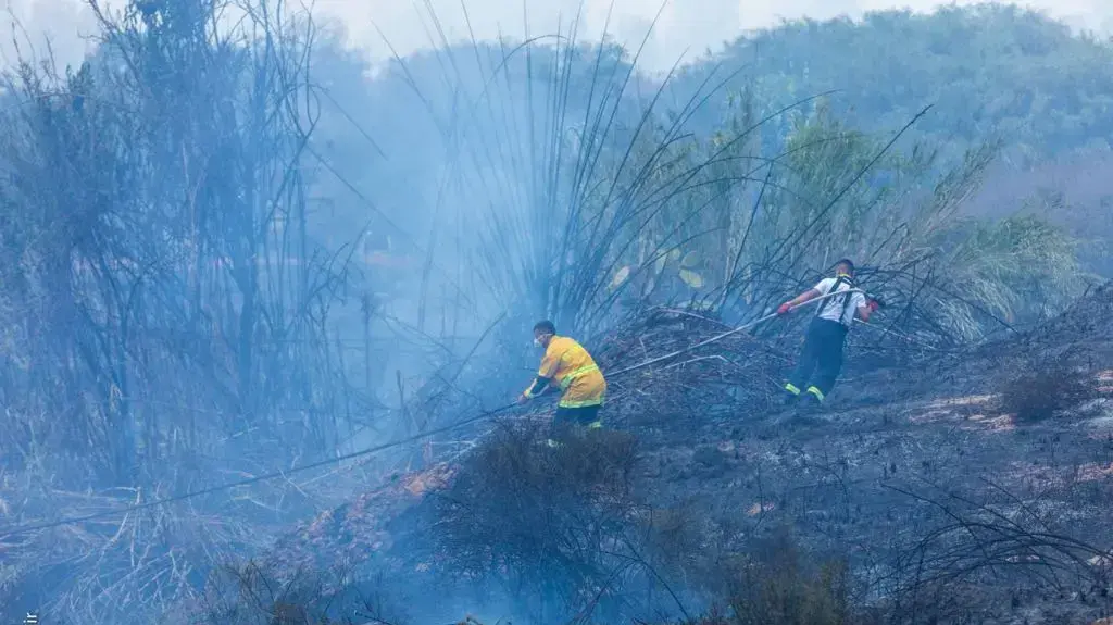 שריפה בשמורת כרמיה בעבקות טרור העפיפונים מעזה 2 ביוני 2018 שריפה בשמורת כרמיה בעבקות טרור העפיפונים מעזה 2 ביוני 2018