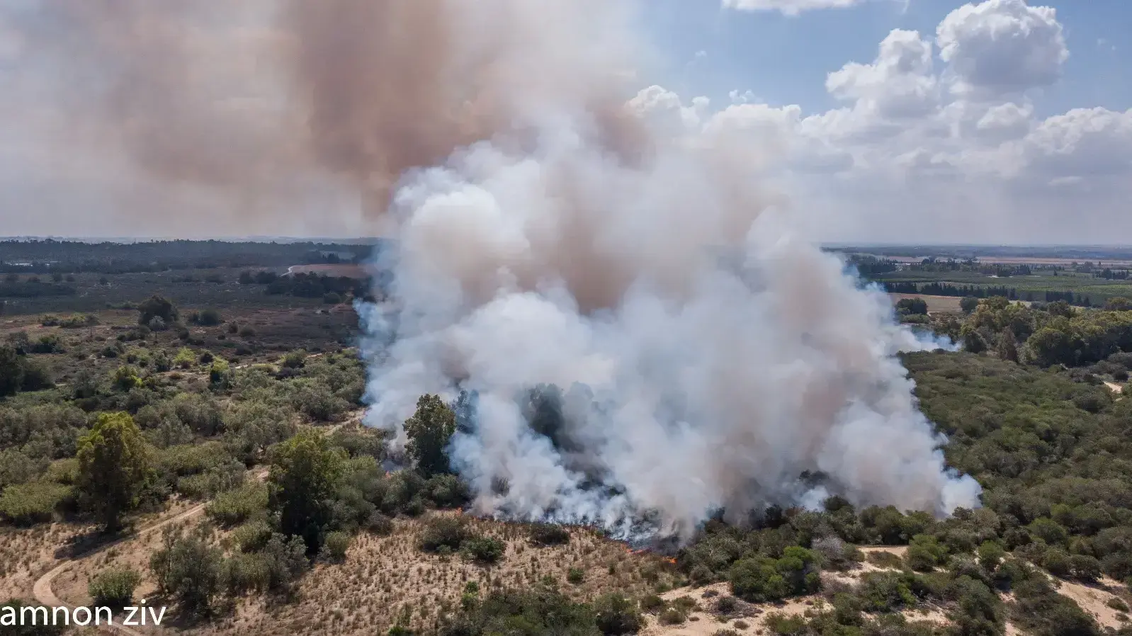 שריפה בשמורת כרמיה בעבקות טרור העפיפונים מעזה 2 ביוני 2018 שריפה בשמורת כרמיה בעבקות טרור העפיפונים מעזה 2 ביוני 2018