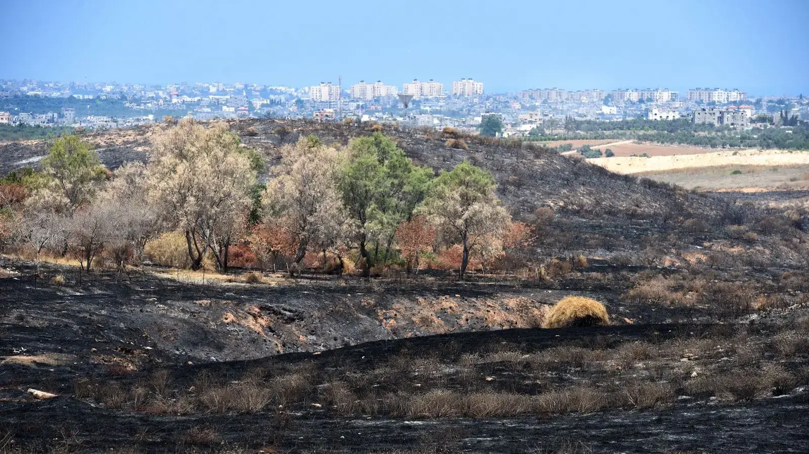 שריפה בעוטף עזה בעקבות טרור העפיפונים 3 ביוני 2018 שריפה בעוטף עזה בעקבות טרור העפיפונים 3 ביוני 2018