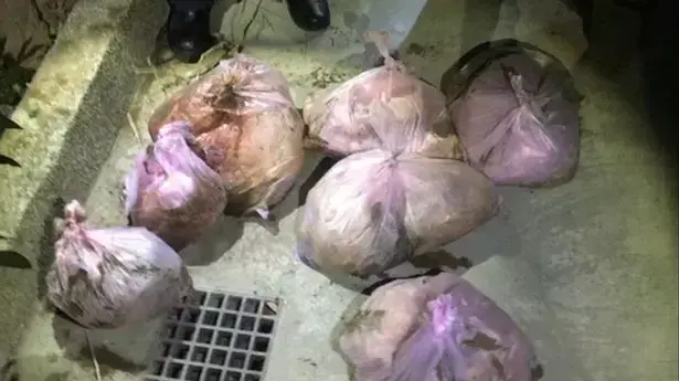 רצח את הדייט מטינדר והתאבד רצח את הדייט מטינדר והתאבד