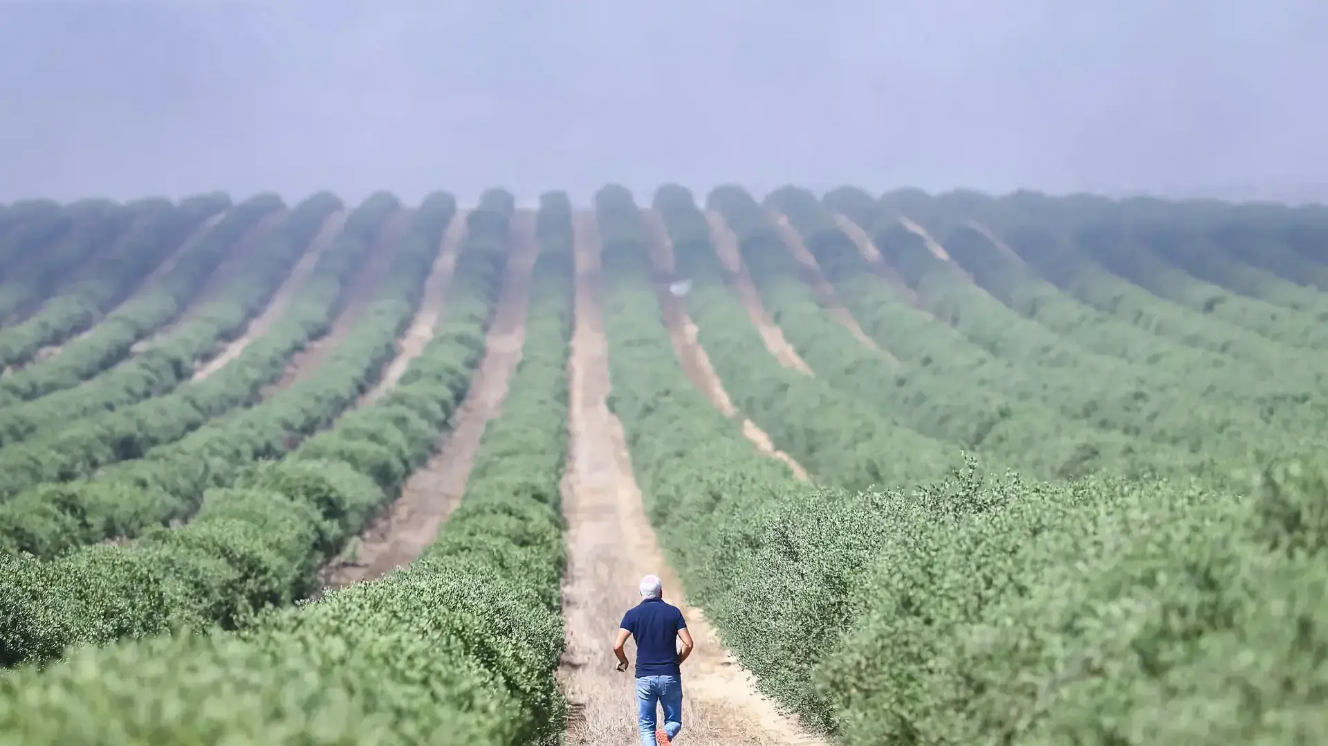 חיים ילין רץ לתפוס פיפון תבערה באירועי יום הנכסה בגבול רצועת עזה, 8 ביוני 2018 חיים ילין רץ לתפוס פיפון תבערה באירועי יום הנכסה בגבול רצועת עזה, 8 ביוני 2018