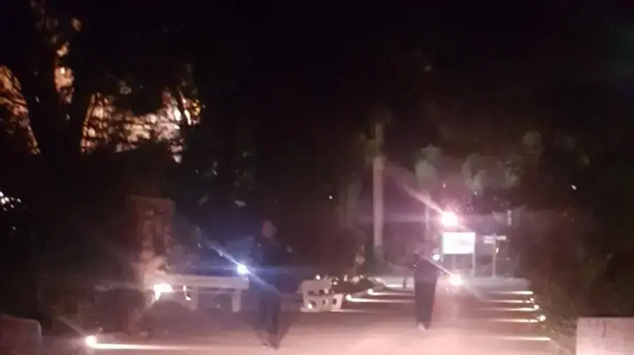 שוטרים מחפשים אחרי התן שוטרים מחפשים אחרי התן
