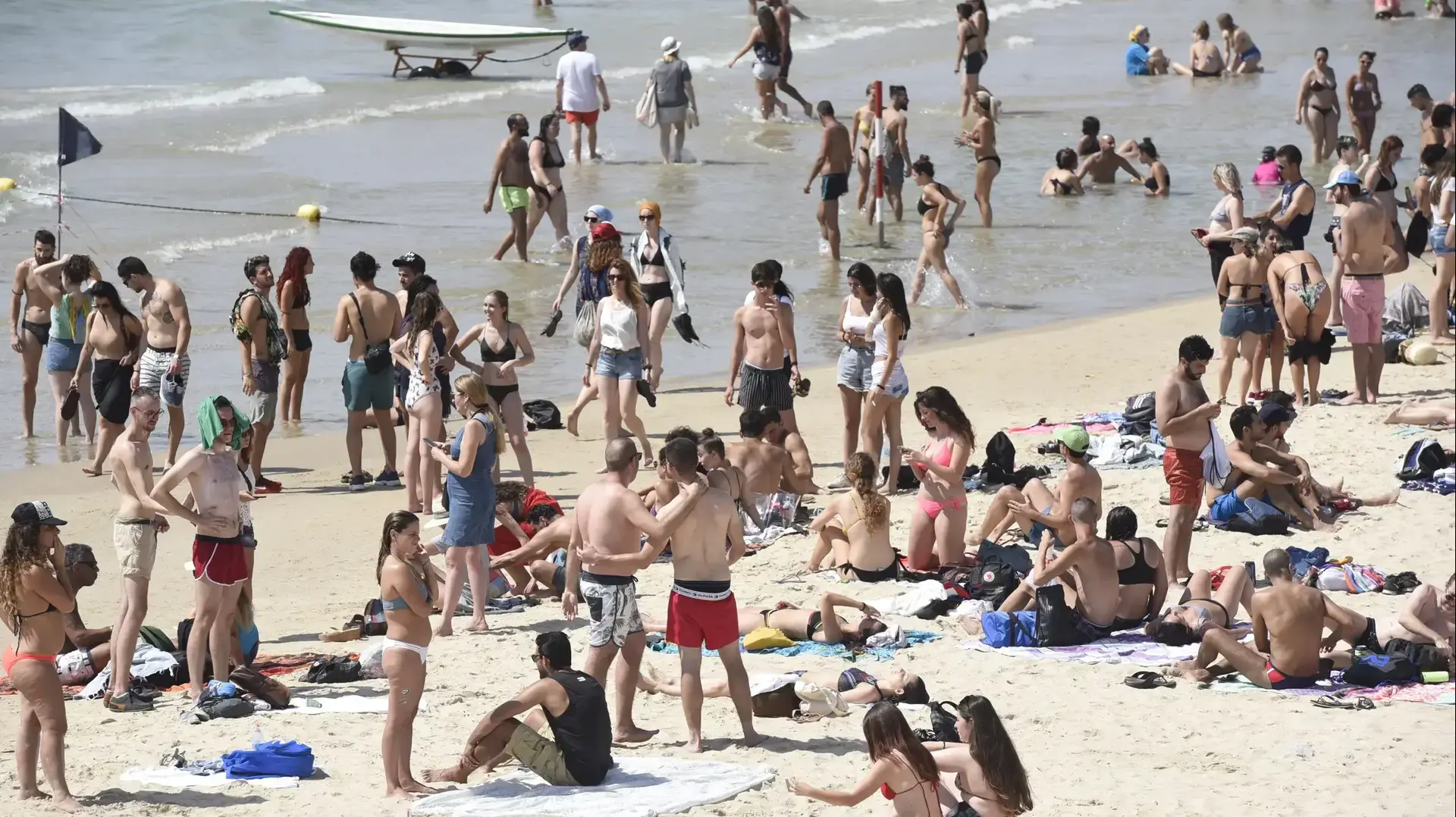 נופשים פוקדים את אחד מחופי הים בתל אביב 8 ביוני 2018
נופשים פוקדים את אחד מחופי הים בתל אביב 8 ביוני 2018