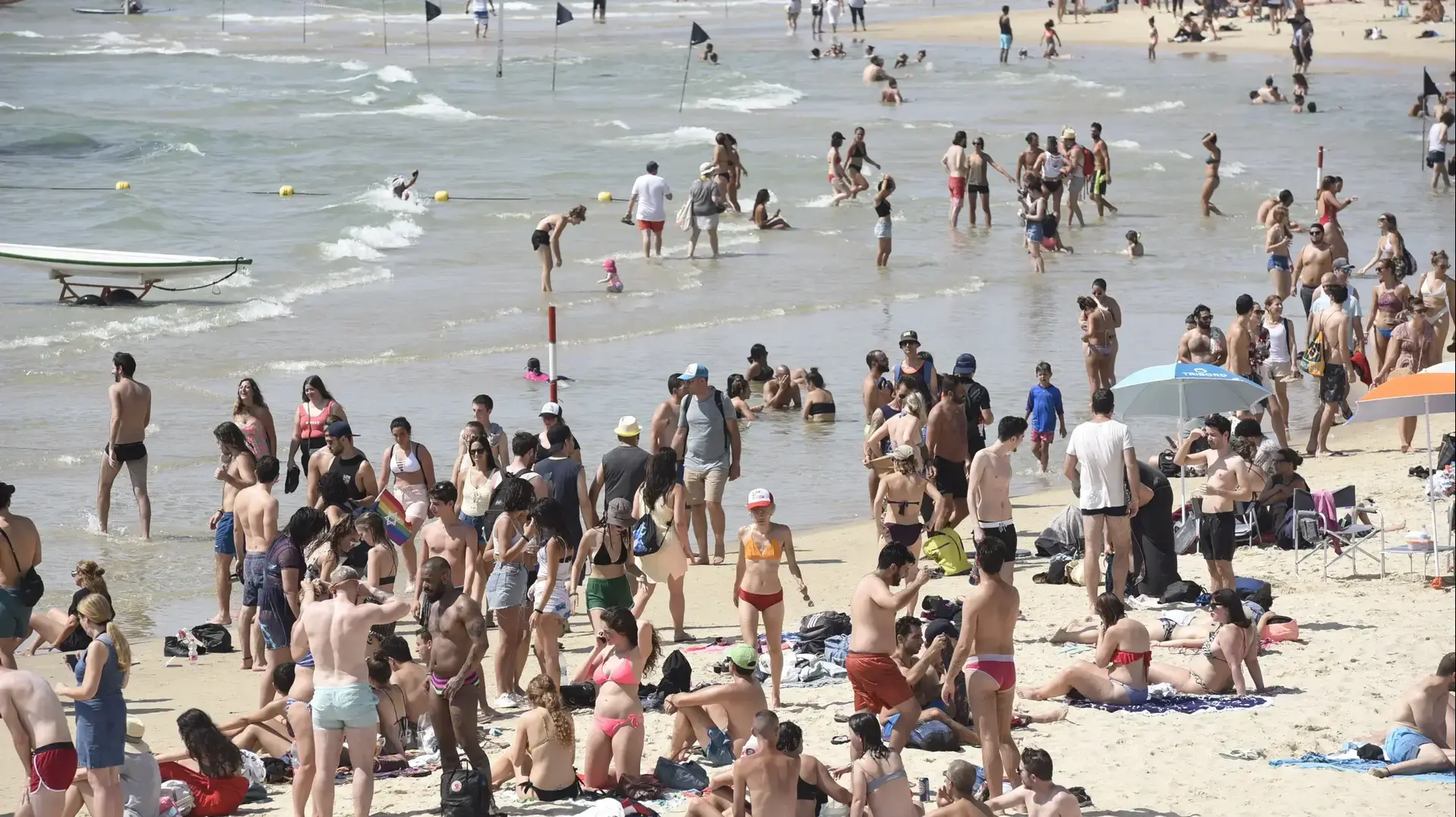 נופשים פוקדים את אחד מחופי הים בתל אביב 8 ביוני 2018
נופשים פוקדים את אחד מחופי הים בתל אביב 8 ביוני 2018