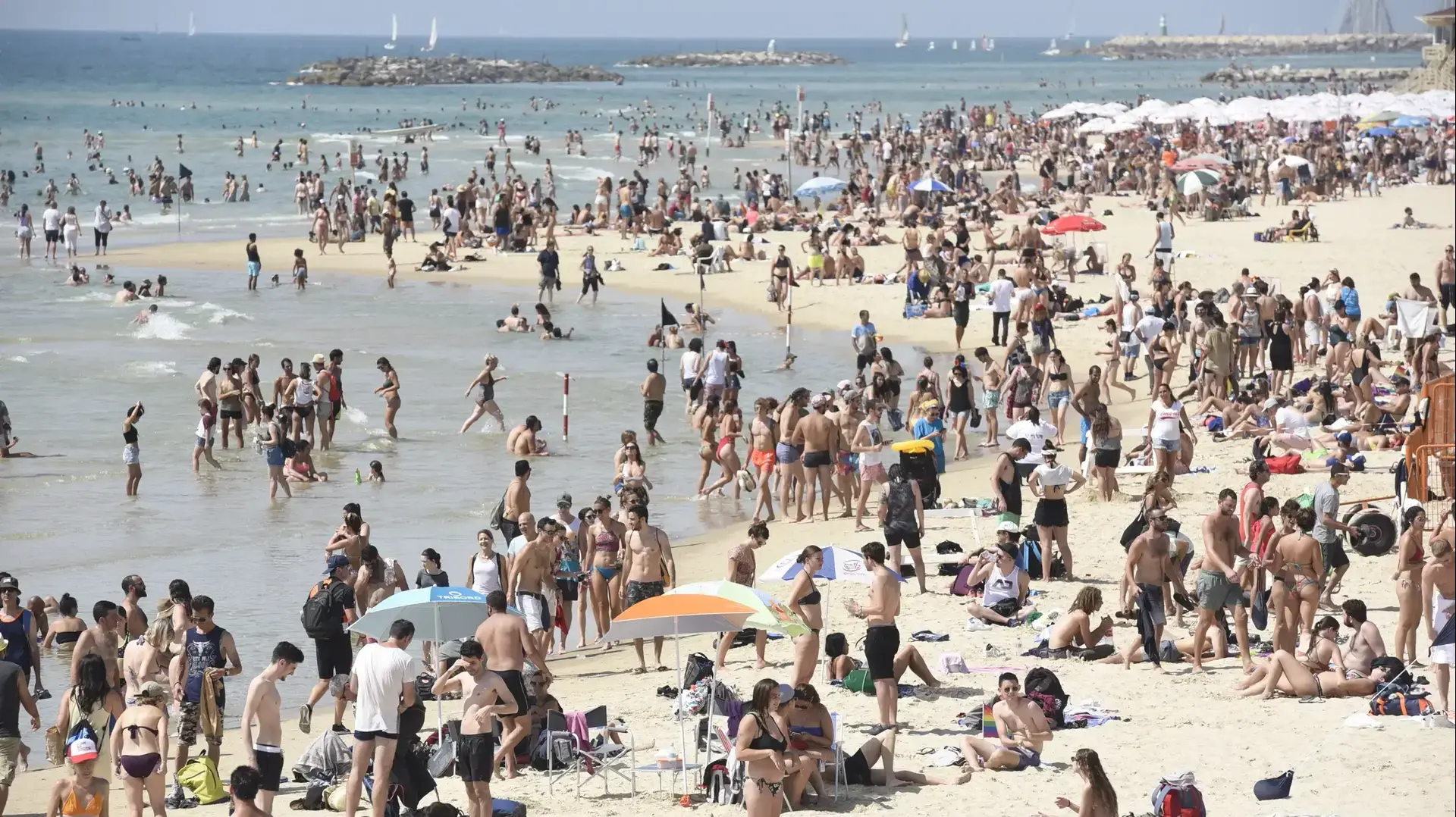 נופשים פוקדים את אחד מחופי הים בתל אביב 8 ביוני 2018
נופשים פוקדים את אחד מחופי הים בתל אביב 8 ביוני 2018