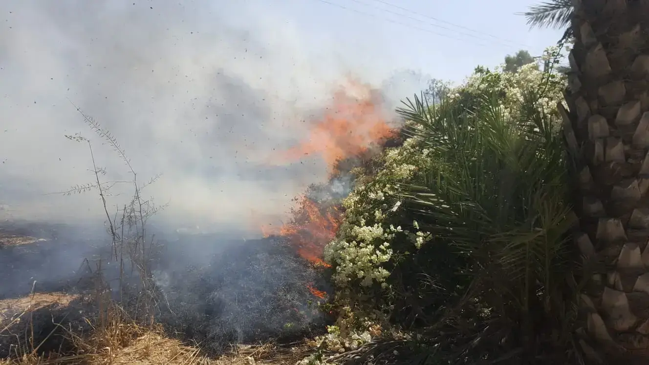 שריפה שפרצה בעוטף עזה עקב עפיפון תבערה ב-11 ביוני 2018 שריפה שפרצה בעוטף עזה עקב עפיפון תבערה ב-11 ביוני 2018