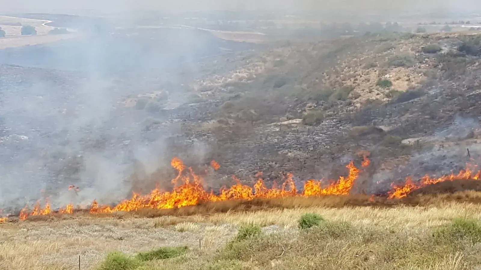 שריפה שפרצה בין ניר עם למפלסים עקב עפיפון תבערה ב-11 ביוני 2018 שריפה שפרצה בין ניר עם למפלסים עקב עפיפון תבערה ב-11 ביוני 2018