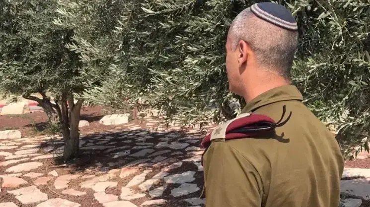 סגן מפקד דובדבן, סגן אלוף א' 13 ביוני 2018 סגן מפקד דובדבן, סגן אלוף א' 13 ביוני 2018