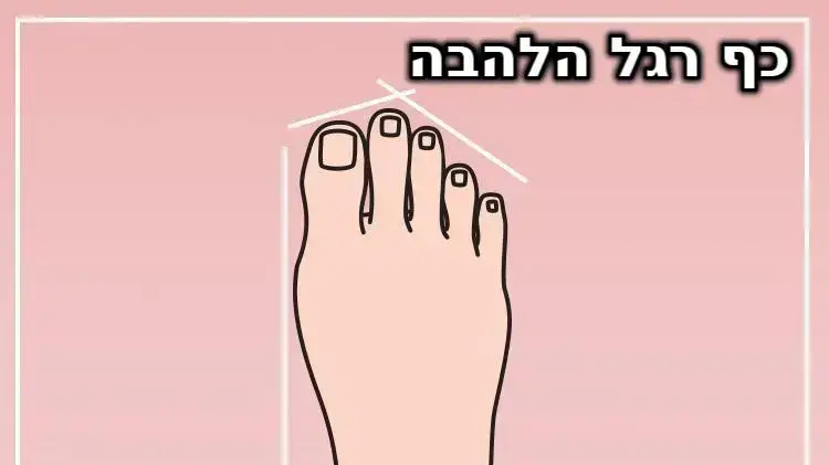 סוגי כפות רגליים - כף רגל הלהבה סוגי כפות רגליים - כף רגל הלהבה