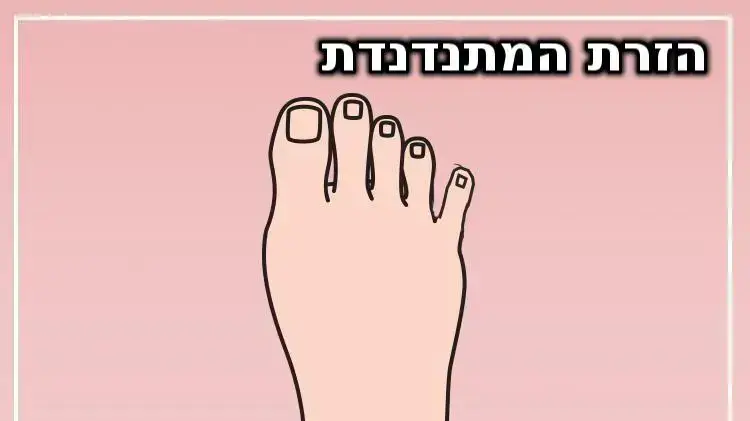 סוגי כפות רגליים - הזרת המתנדנדת סוגי כפות רגליים - הזרת המתנדנדת