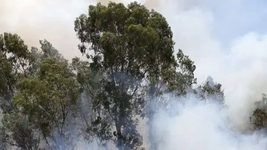 שריפה שפרצה בעוטף עזה עקב עפיפוני תבערה ב-15 ביוני 2018 שריפה שפרצה בעוטף עזה עקב עפיפוני תבערה ב-15 ביוני 2018