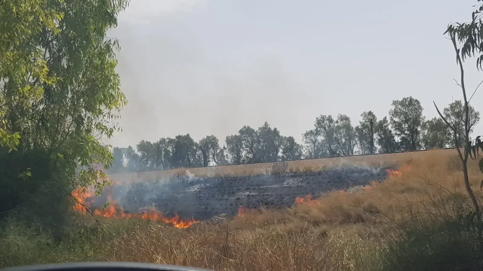 שריפה ביישובי עוטטף עזה כתוצאה מעפיפוני תבערה שנשלחו מתוך רצועת עזה שריפה ביישובי עוטטף עזה כתוצאה מעפיפוני תבערה שנשלחו מתוך רצועת עזה