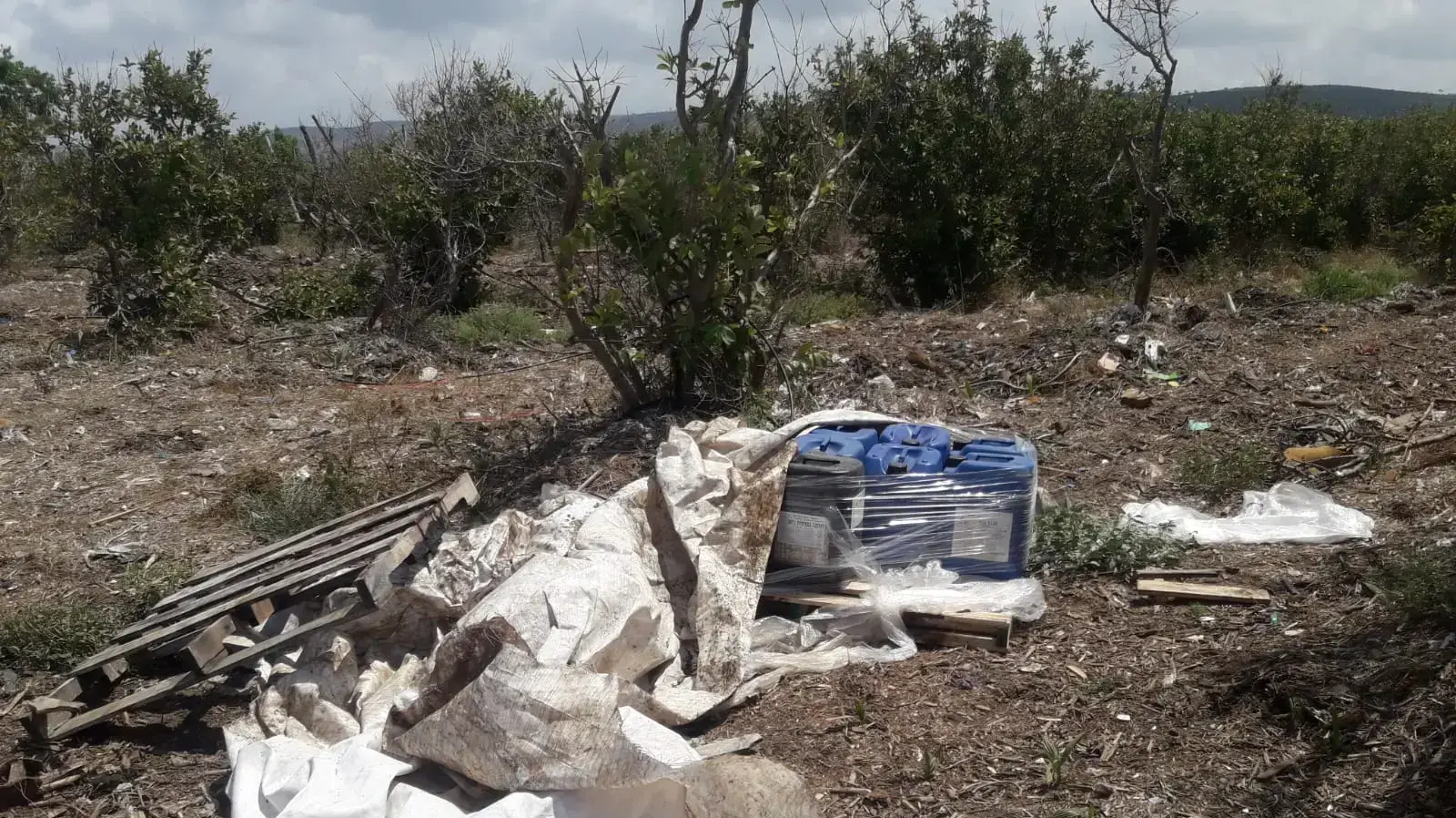 מכלי חומצה גופתרית במפעל שמן פיראטי בפאתי עתלית מכלי חומצה גופתרית במפעל שמן פיראטי בפאתי עתלית