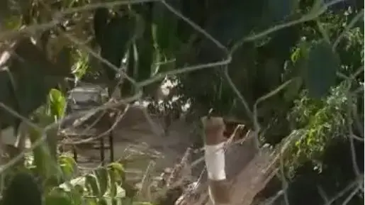 שריפות עוטף עזה ושרידי עפיפון תבערה בבית הגדי שריפות עוטף עזה ושרידי עפיפון תבערה בבית הגדי