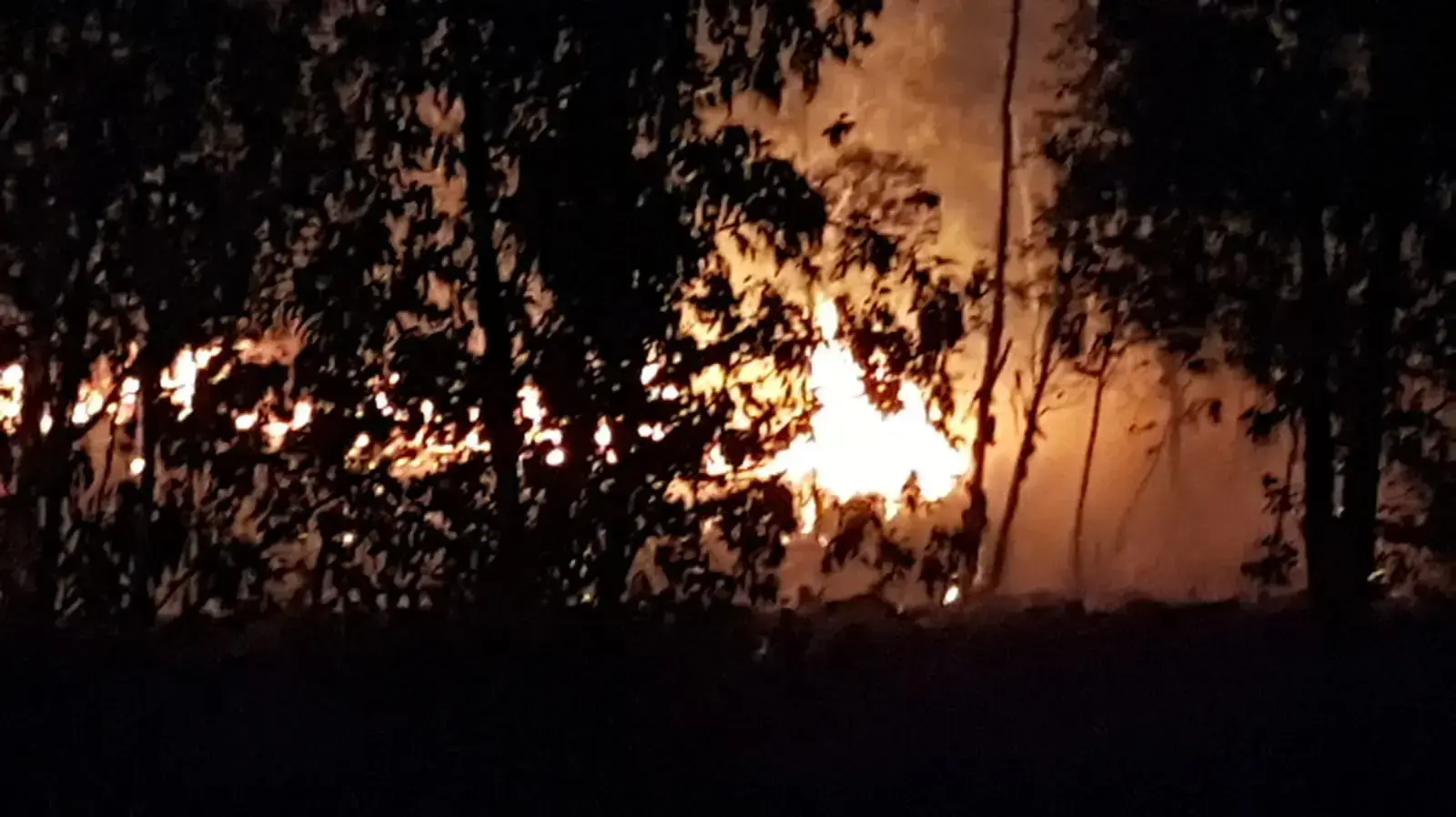 שריפה ביער בארי שהוצתה בעקבות עפיפון תבערה - 17 ביוני 2018 שריפה ביער בארי שהוצתה בעקבות עפיפון תבערה - 17 ביוני 2018