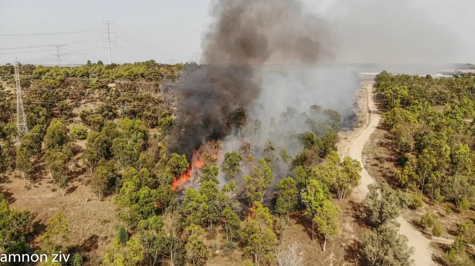 שריפה באזור מבקיעים שליד אשקלון, 16 ביוני 2018 שריפה באזור מבקיעים שליד אשקלון, 16 ביוני 2018