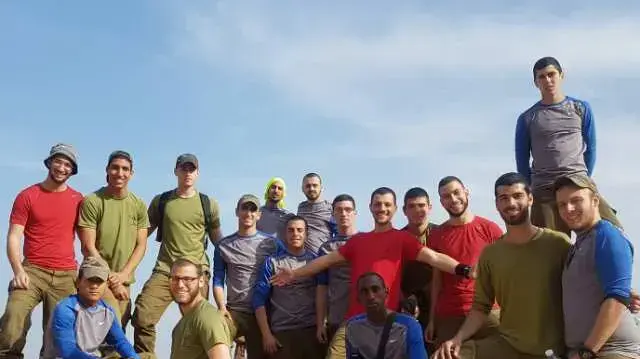 צוות מנדל צוות מנדל