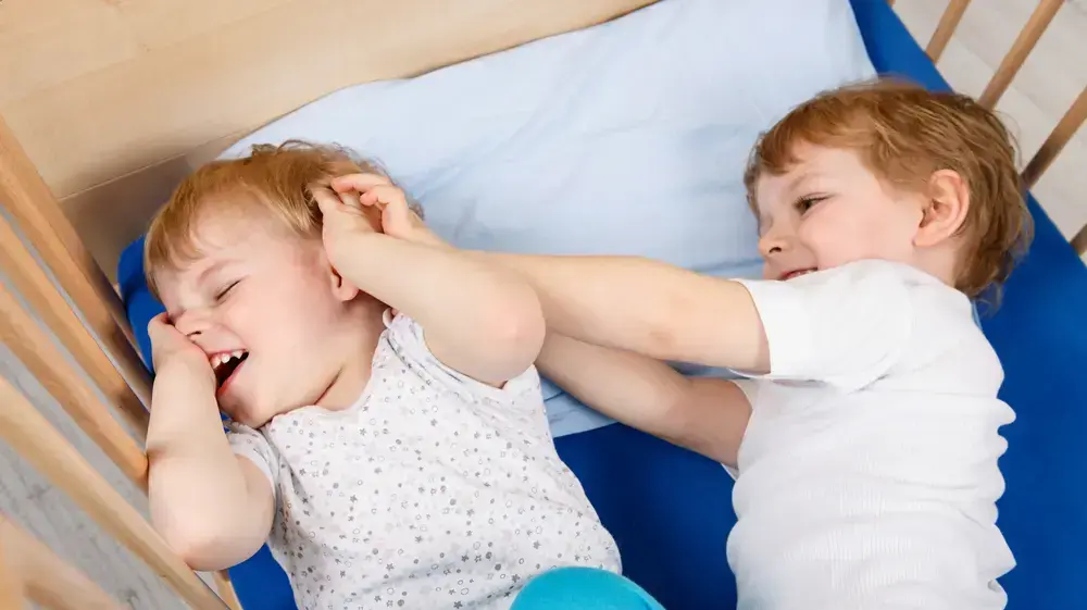 אחים צמודים רבים אחים צמודים רבים