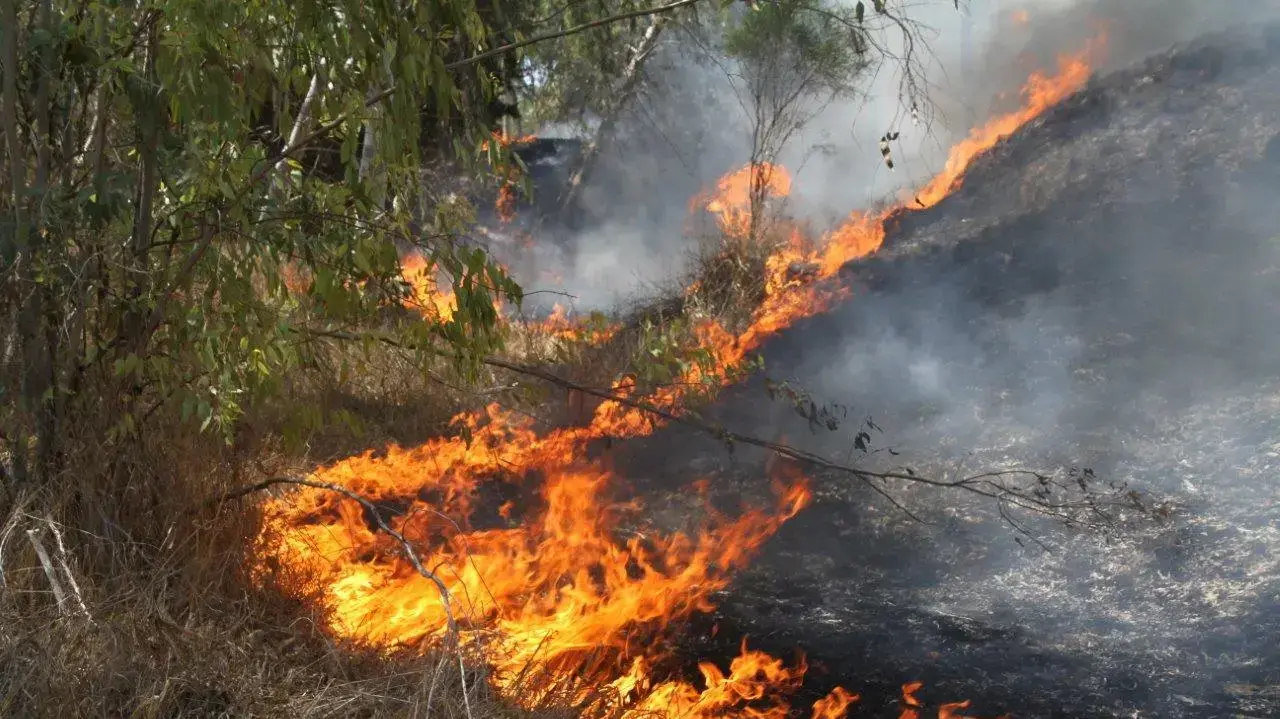 שריפות בעוטף עזה 24 ביוני 2018 שריפות בעוטף עזה 24 ביוני 2018