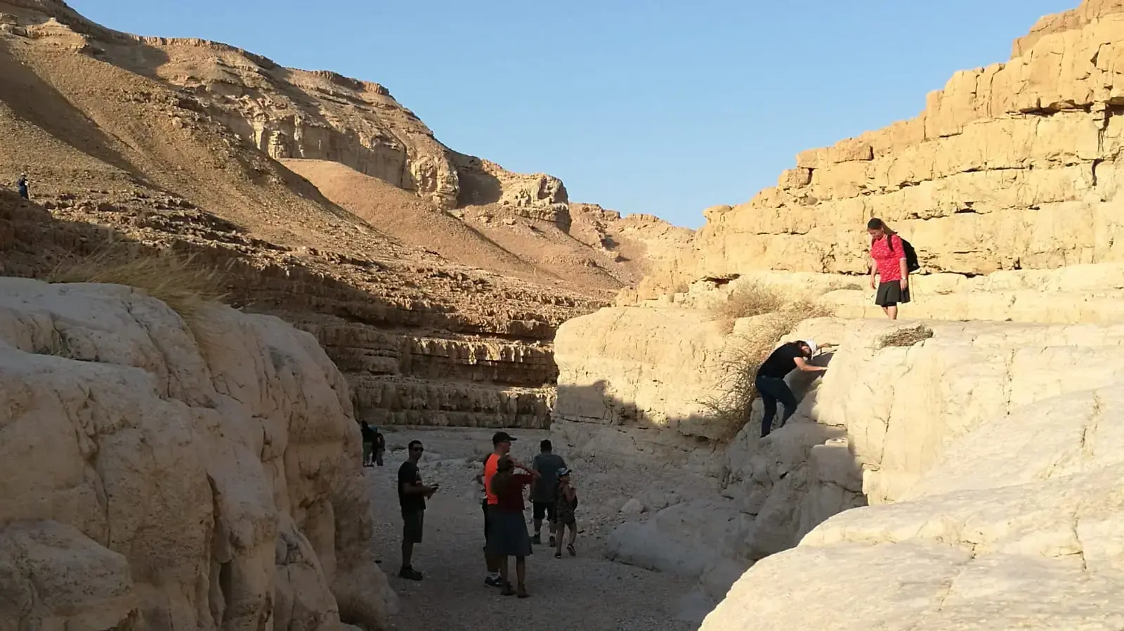נחל צפית: ההורים והנערים חוזרים לערוץ הנחל בו קרה האסון נחל צפית: ההורים והנערים חוזרים לערוץ הנחל בו קרה האסון