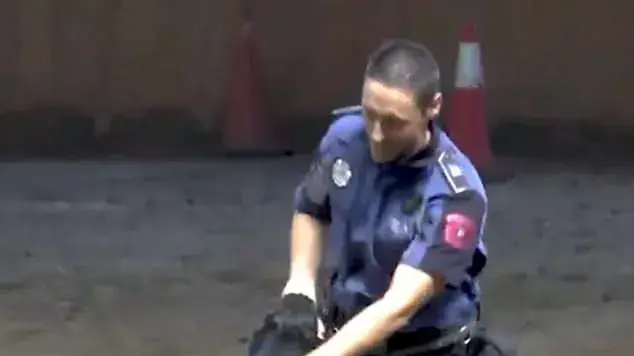 כלב מבצע החייאה בשוטר כלב מבצע החייאה בשוטר