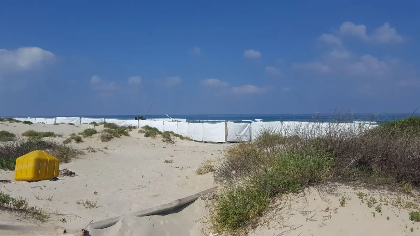 רצועת חוף בחדרה שעליה תוכננה מסיבה המסכנת צבי ים
