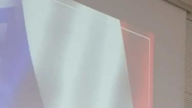 דובר צה"ל, רונן מניליס בפרלמנט הצרפתי 3 ביוני 2018