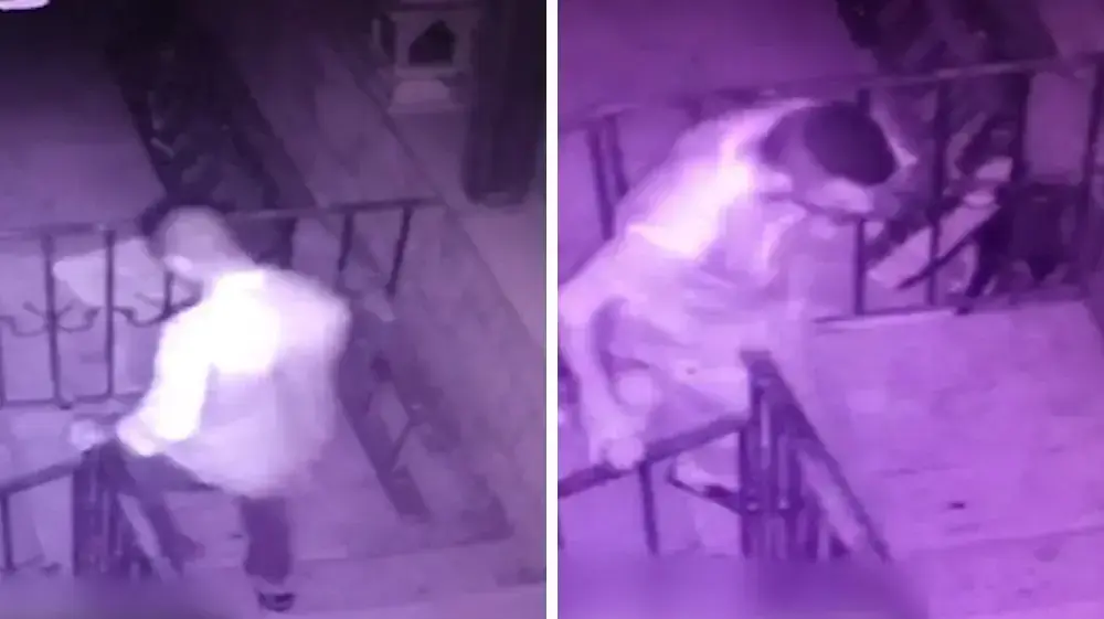 מפוצלת: הרוצח של פאדיה קדיס נכנס לביתה לרצוח אותה ויוצא לאחר הרצח